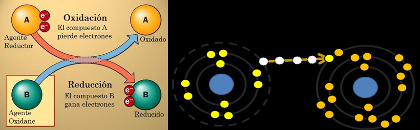 Oxidación y antioxidantes