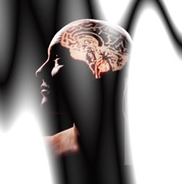 El cerebro y las limitaciones