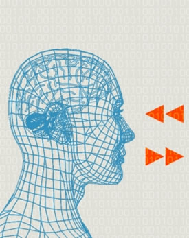 El lenguaje del cerebro